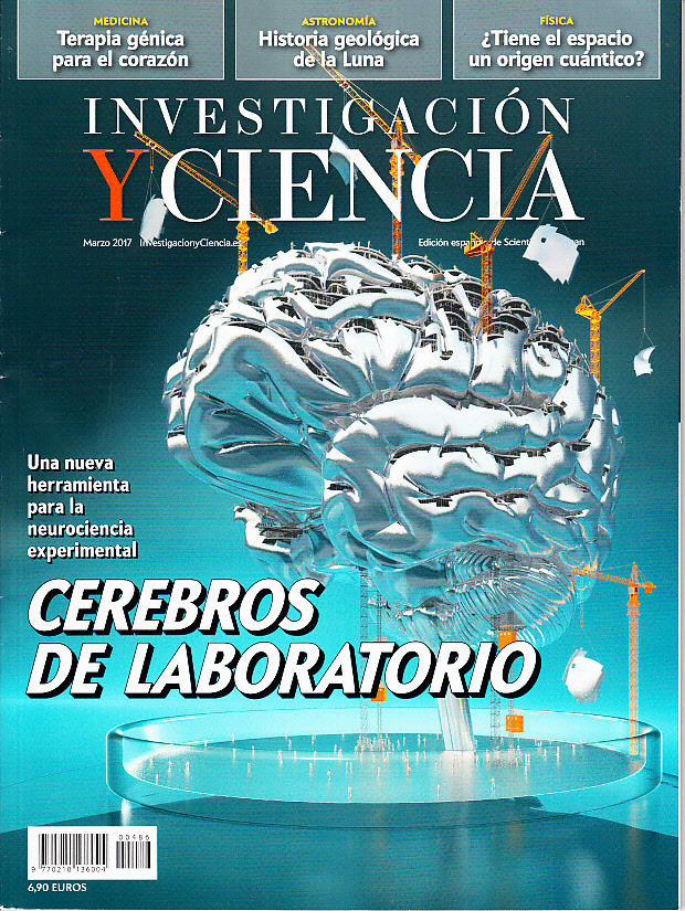 Revista Investigación y ciencia Cerebros de Laboratorio